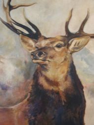 Head detail of Monarch of the Glen